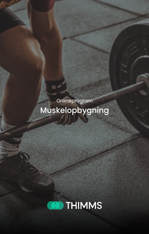 Muskelopbygning onlineprogram